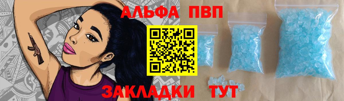 Alfa_PVP СК Майкоп