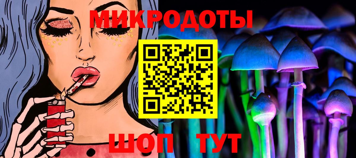 где можно купить наркотик  Псилоцибиновые грибы GOLDEN TEACHER  Майкоп  Вход с VPN  Галлюциногенные грибы GOLDEN TEACHER 