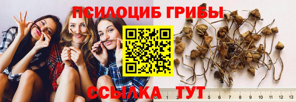 Псилоцибиновые грибы MAGIC MUSHROOMS Майкоп